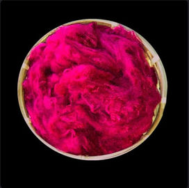Solid Dope Dyed Recycled Polyester Staple Fiber With Excellent Color Fastness