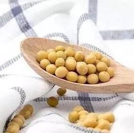 Anti Ultraviolet Natural Color Soybean Protein Staple Fiber 51MM Length